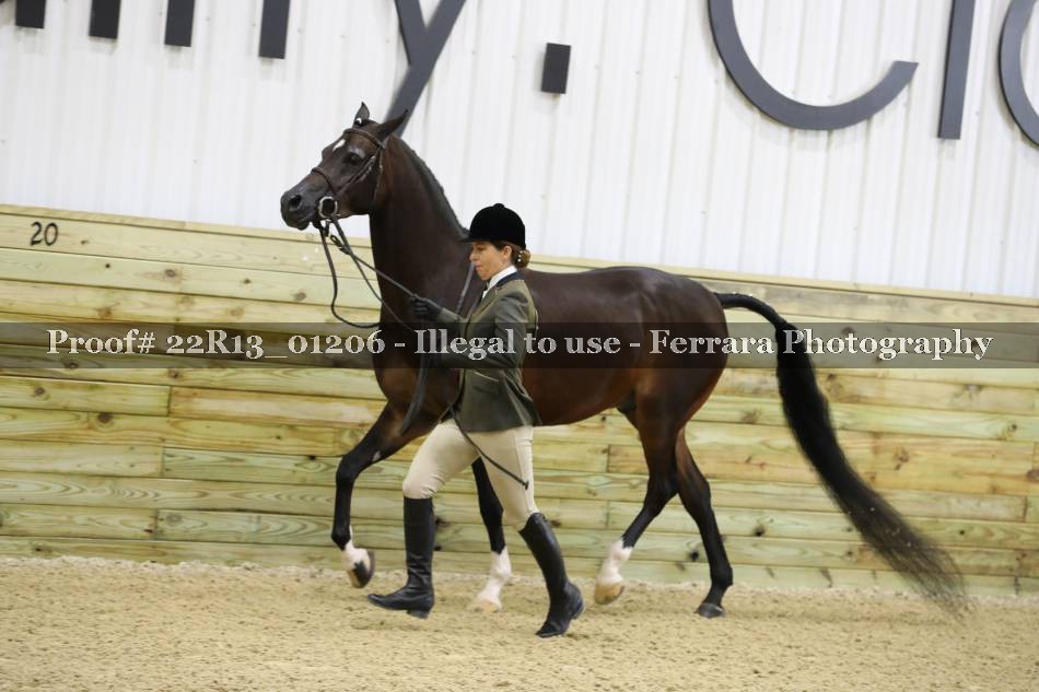 Proof Number 22R13_01206