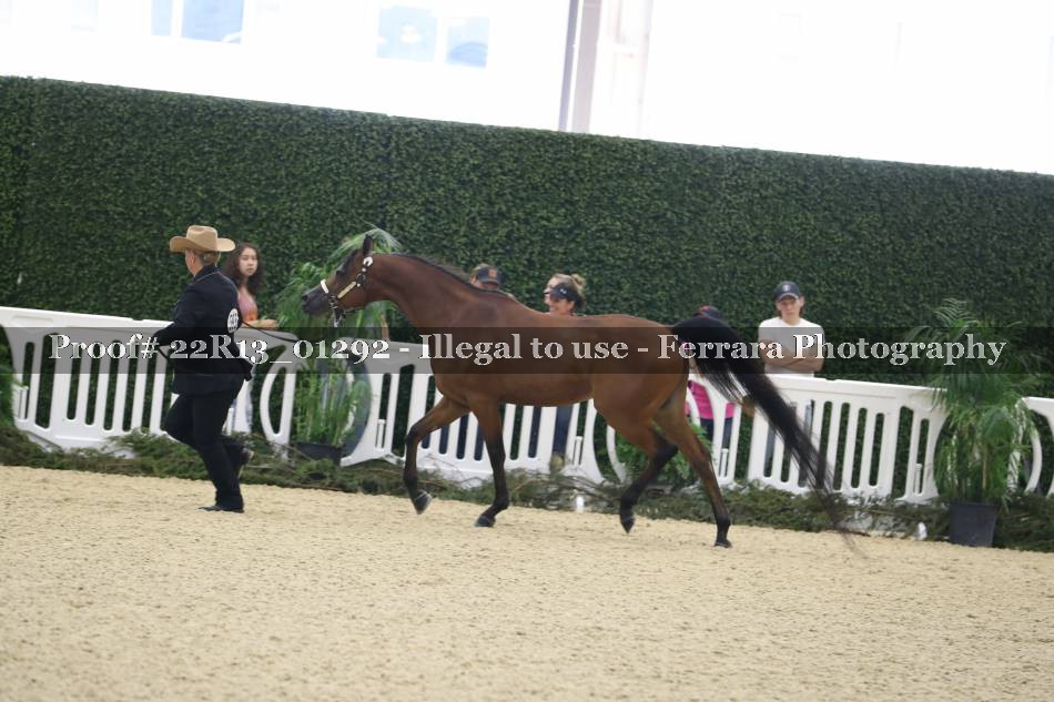 Proof Number 22R13_01292