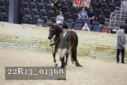 22R13_01368 thumbnail