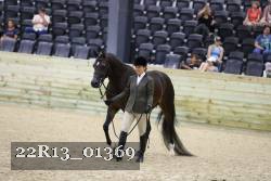 22R13_01369 thumbnail