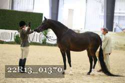 22R13_01370 thumbnail