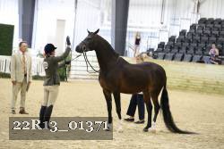 22R13_01371 thumbnail