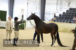 22R13_01372 thumbnail