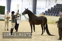 22R13_01373 thumbnail