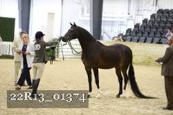 22R13_01374 thumbnail