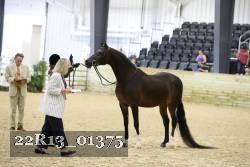 22R13_01375 thumbnail