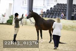 22R13_01376 thumbnail