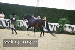 22R13_01377 thumbnail