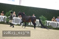 22R13_01378 thumbnail