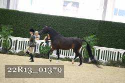 22R13_01379 thumbnail