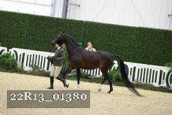 22R13_01380 thumbnail