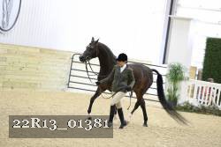 22R13_01381 thumbnail