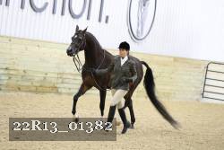 22R13_01382 thumbnail