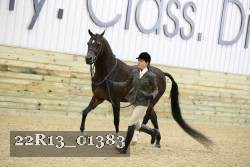 22R13_01383 thumbnail