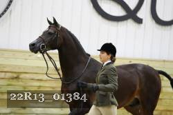 22R13_01384 thumbnail