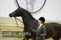 22R13_01385 thumbnail