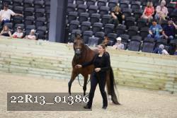 22R13_01386 thumbnail