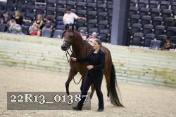 22R13_01387 thumbnail