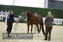 22R13_01388 thumbnail