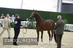 22R13_01389 thumbnail