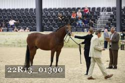 22R13_01390 thumbnail