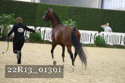 22R13_01391 thumbnail