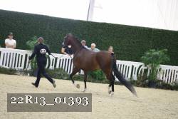 22R13_01393 thumbnail
