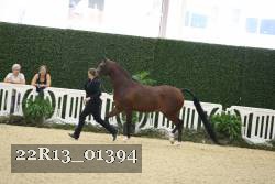 22R13_01394 thumbnail