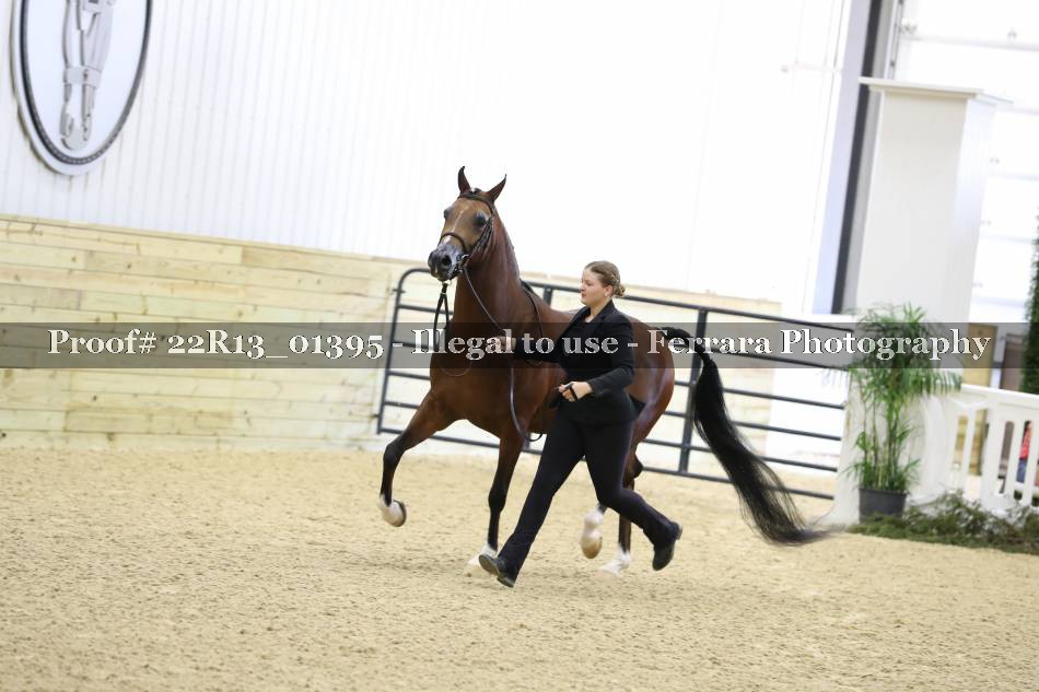 Proof Number 22R13_01395