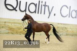 22R13_01396 thumbnail
