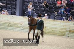 22R13_01397 thumbnail