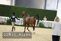22R13_01406 thumbnail