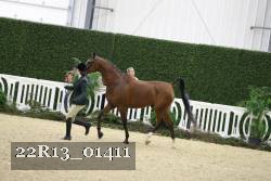 22R13_01411 thumbnail