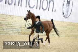 22R13_01413 thumbnail
