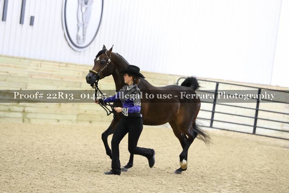 Proof Number 22R13_01425