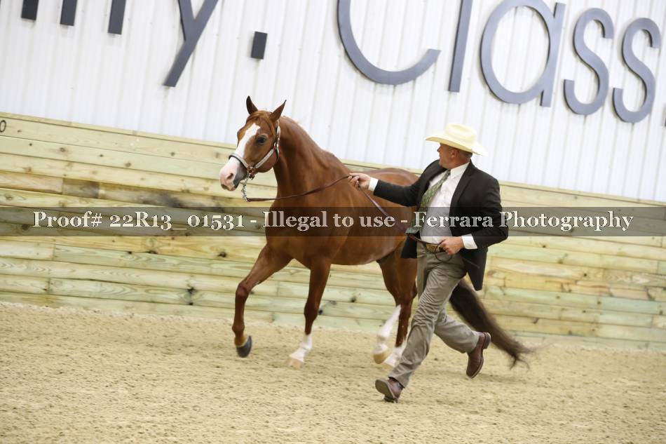 Proof Number 22R13_01531
