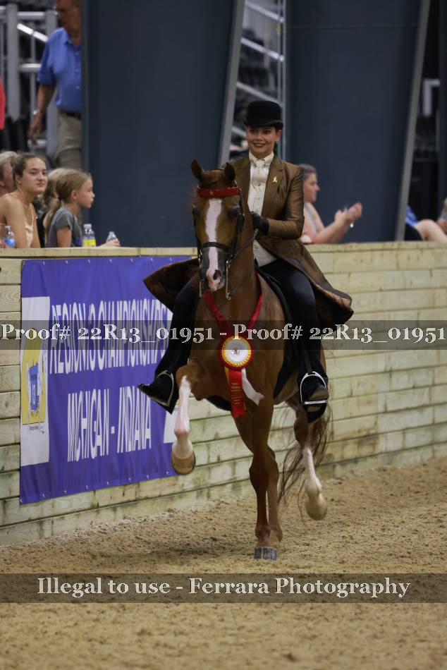 Proof Number 22R13_01951