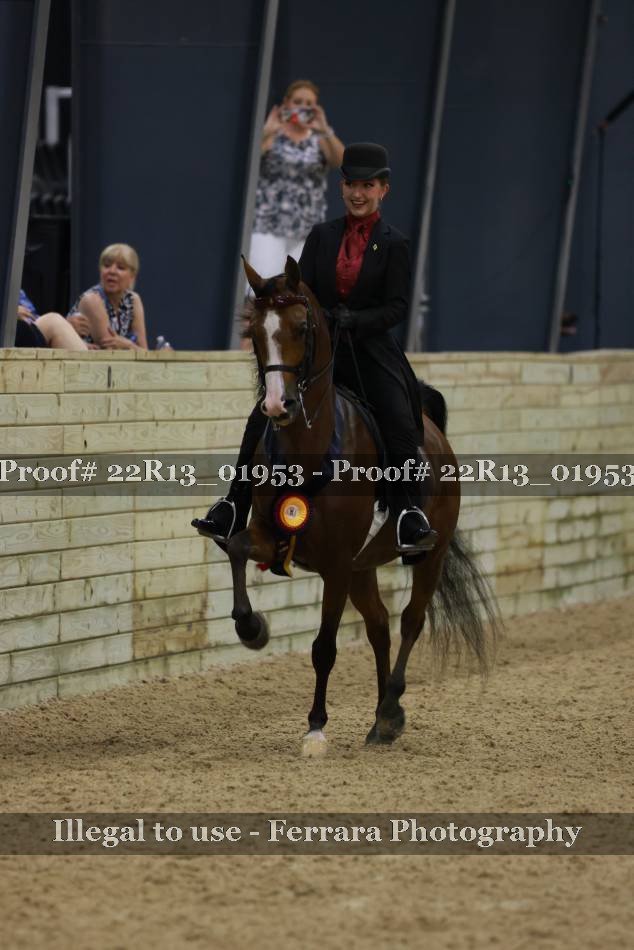 Proof Number 22R13_01953
