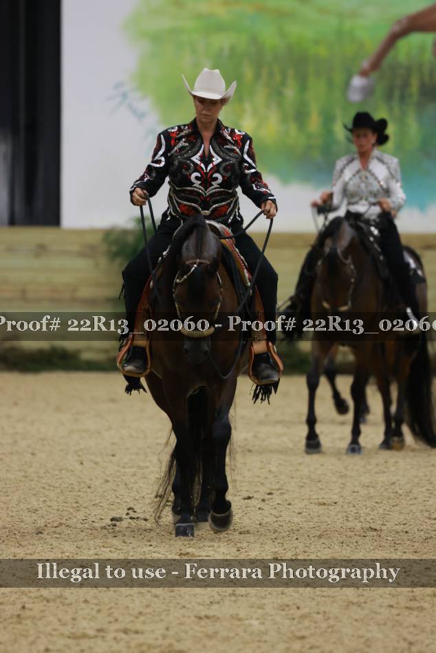 Proof Number 22R13_02060