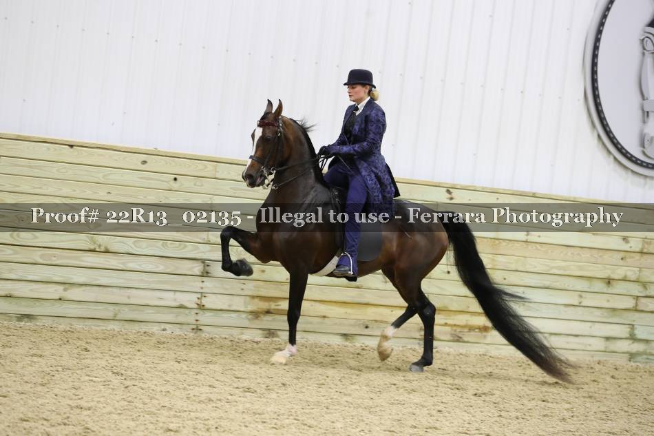 Proof Number 22R13_02135