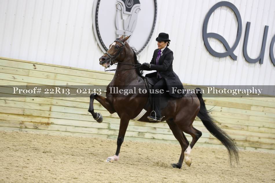 Proof Number 22R13_02143