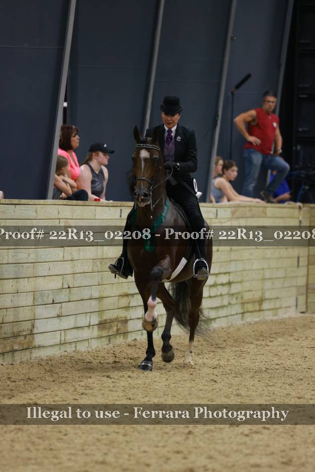 Proof Number 22R13_02208