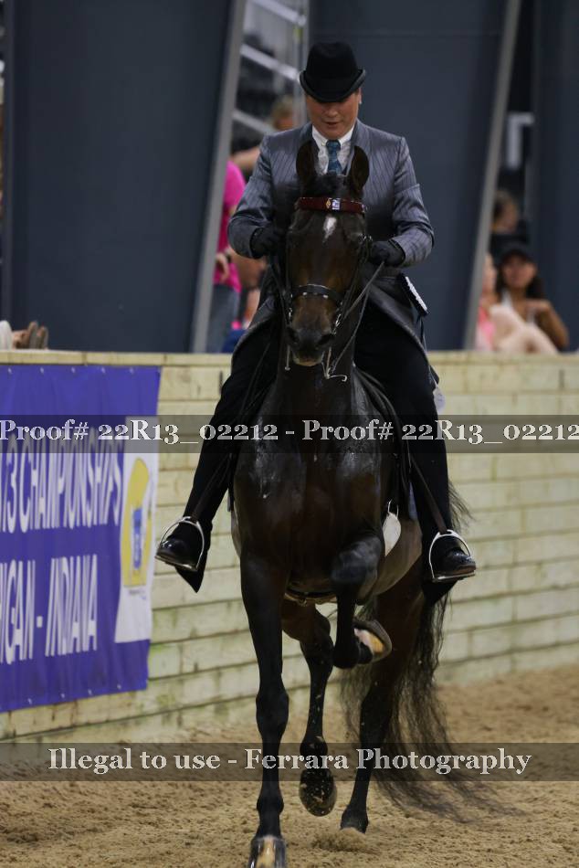 Proof Number 22R13_02212