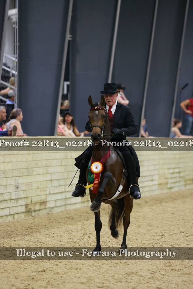Proof Number 22R13_02218