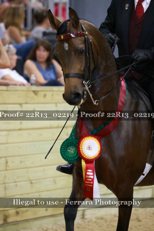 Proof Number 22R13_02219