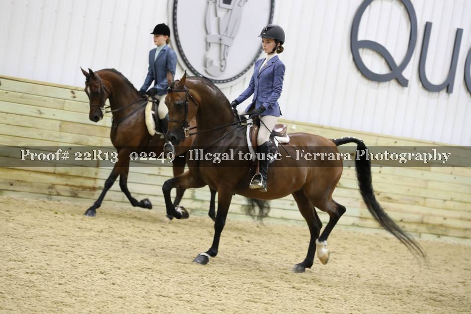 Proof Number 22R13_02249
