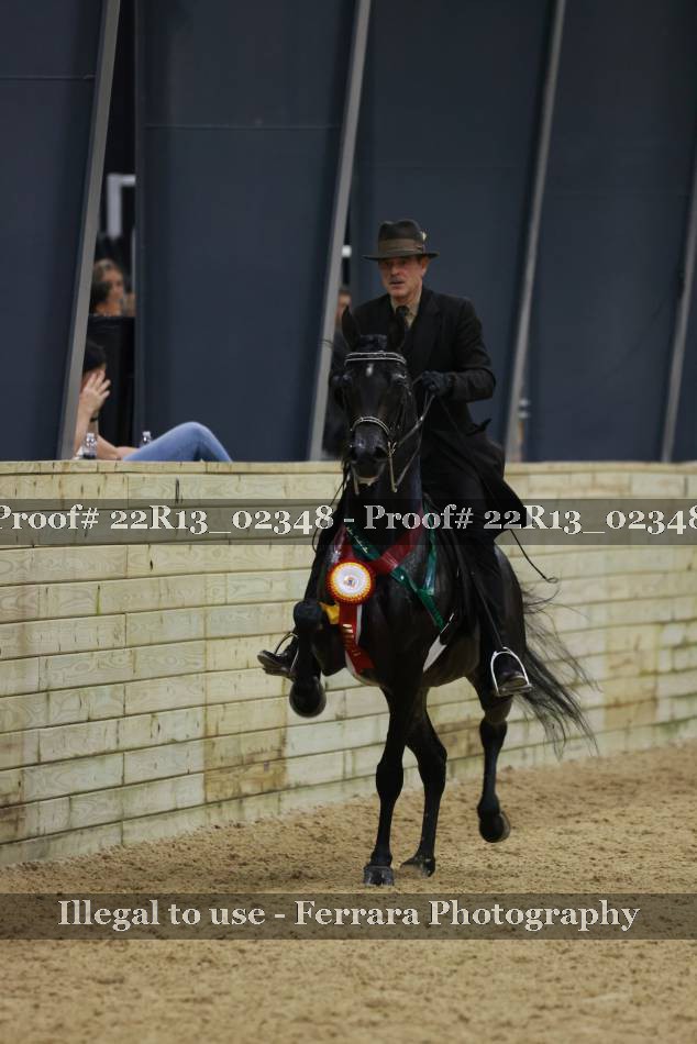 Proof Number 22R13_02348