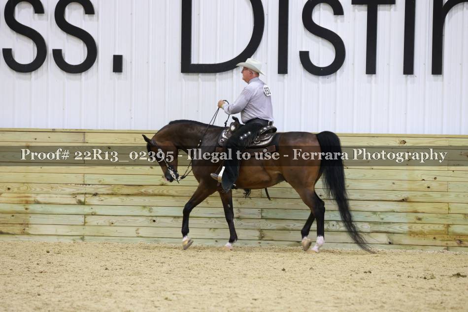 Proof Number 22R13_02395