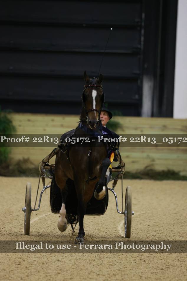 Proof Number 22R13_05172