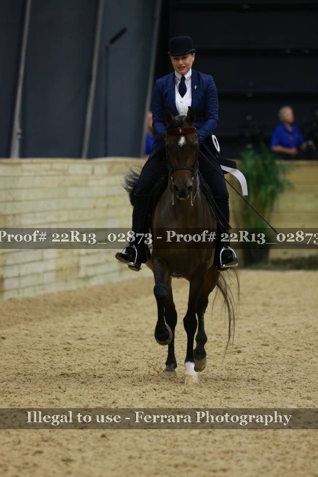 Proof Number 22R13_02873